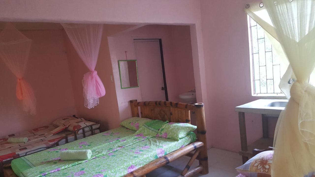 Trisha Lodging House San Vicente  Exterior foto
